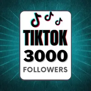 TikTok Follower Growth (3,000 Followers)