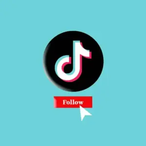 TikTok Followers Starter