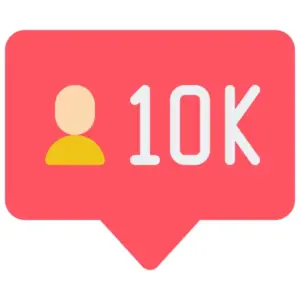 Instagram Followers Basic